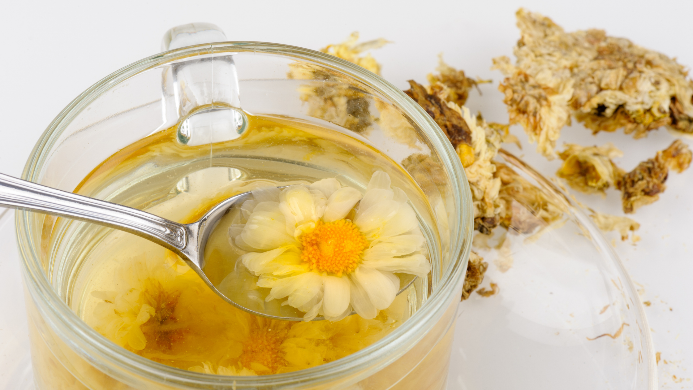 Chrysanthemum Flowers in a glass teapot