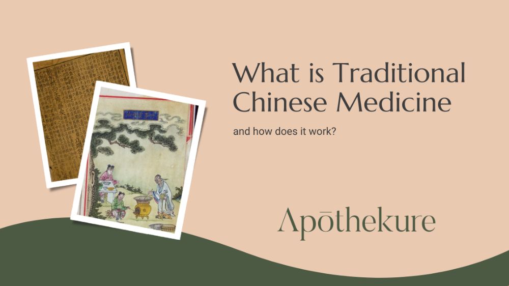 Banner Showing chinese text and the words what is traditional chinese medicine