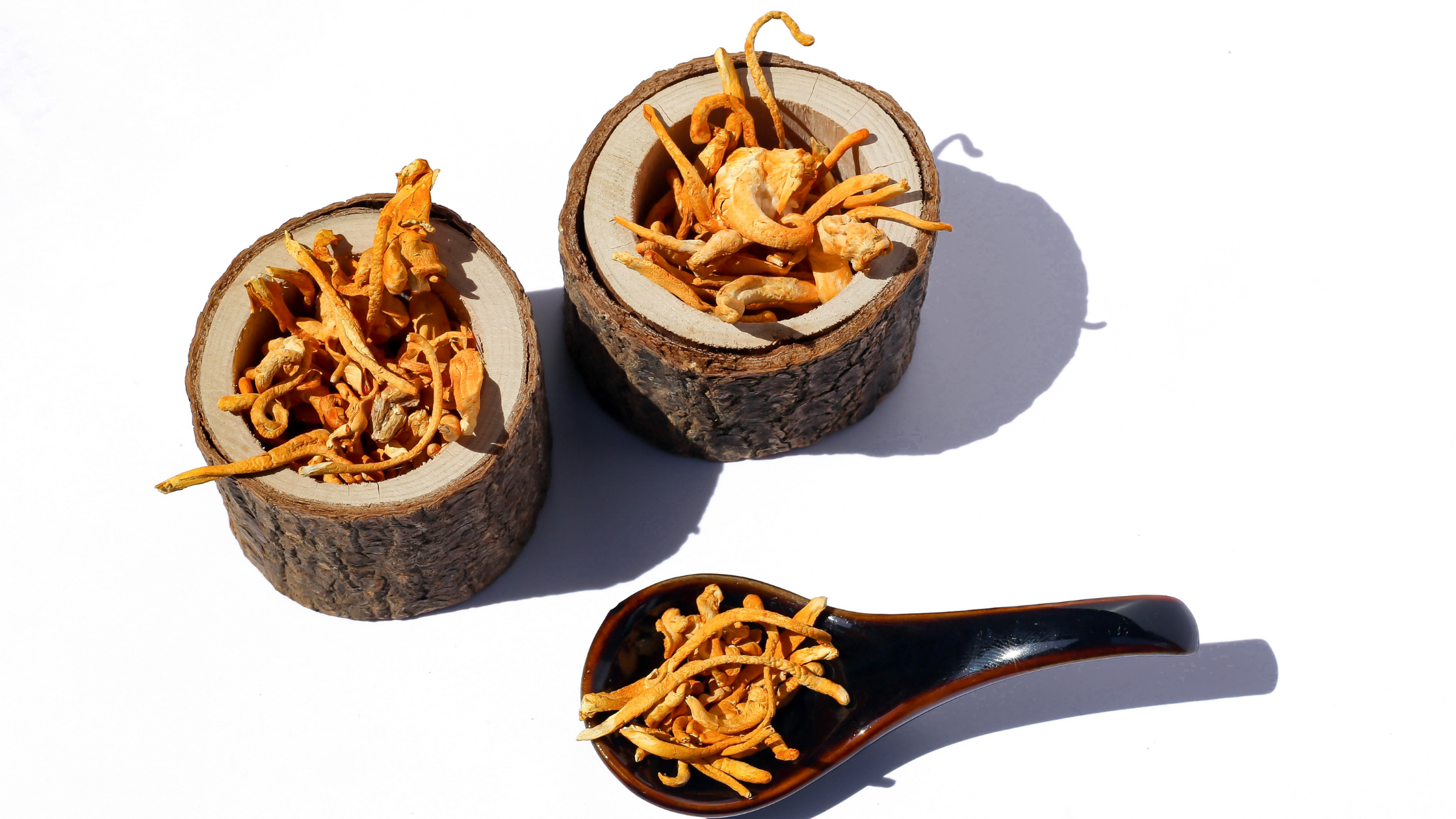 TCM Herb Cordyceps shown inside two tree stumps and a spoon on a table