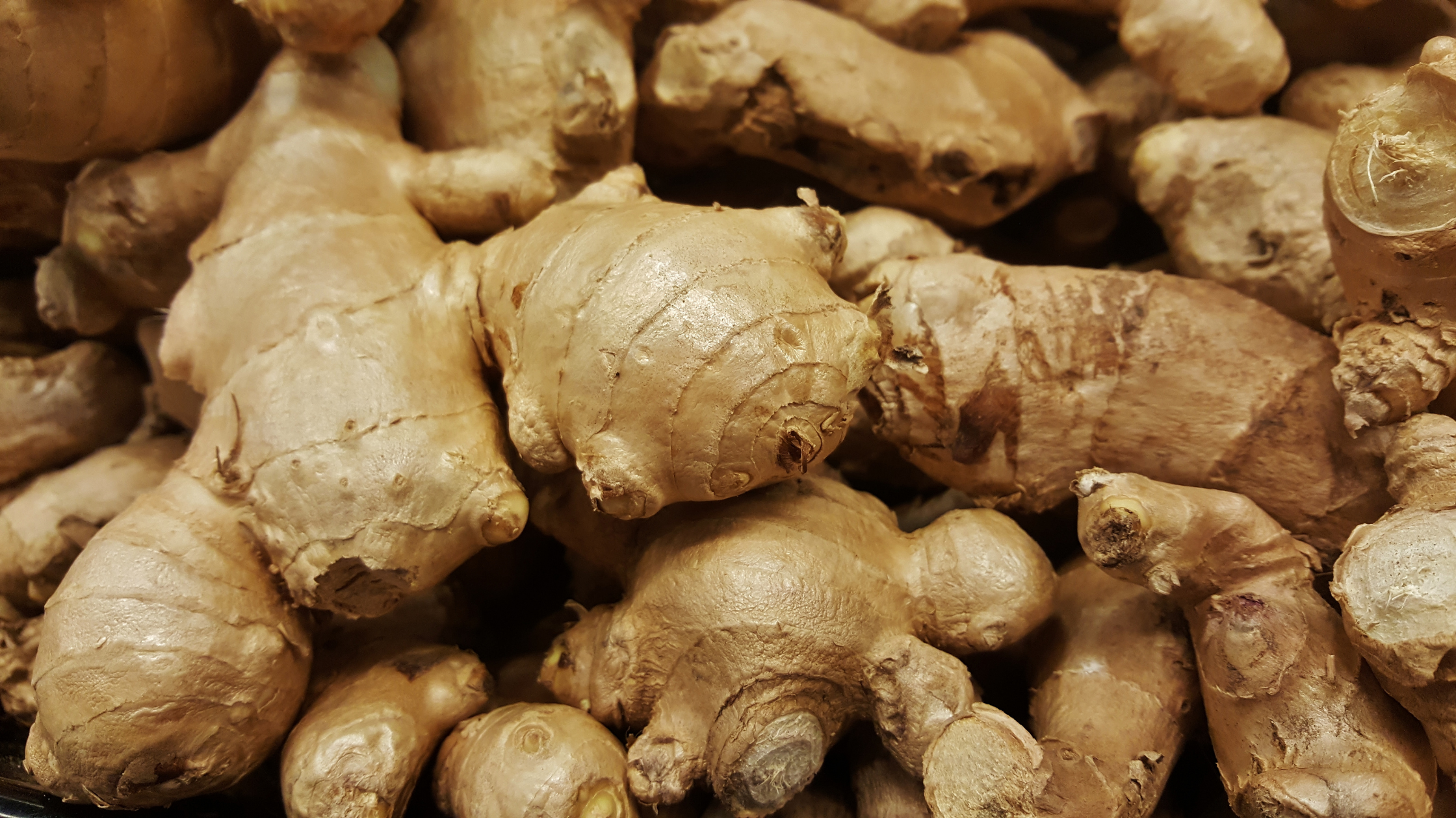 Close up of TCM herb ginseng