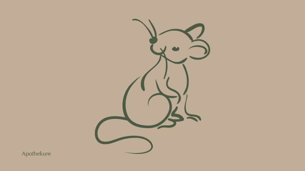 rat on beige background