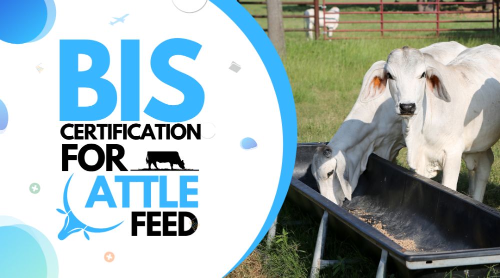 BIS Certification For Cattle Feed | BIS Certification Process