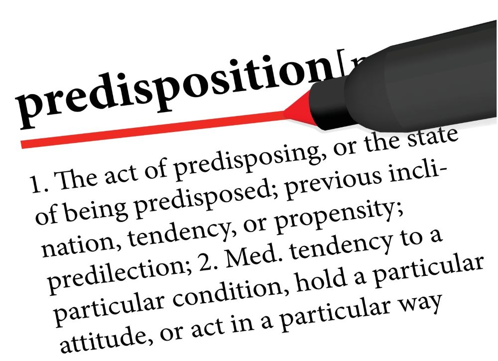 Identifying Key Indicators of Hypnotizability