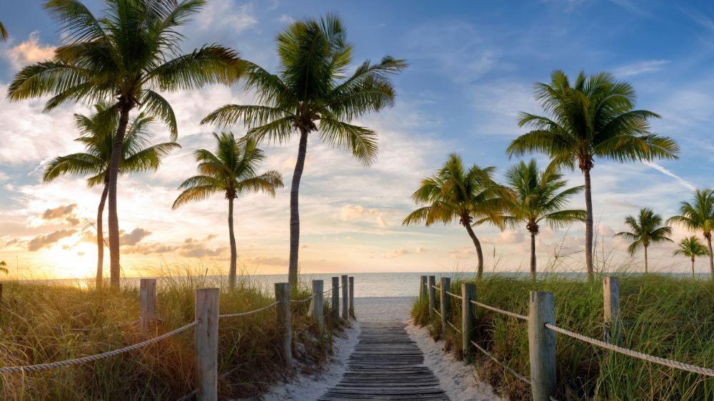 20 Things to do in Florida