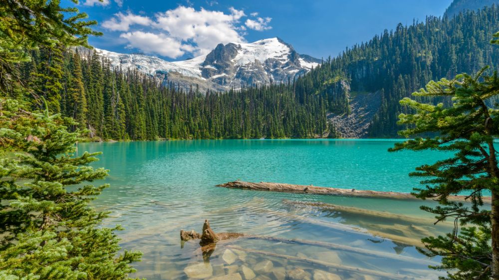 20 Things to do in British Columbia