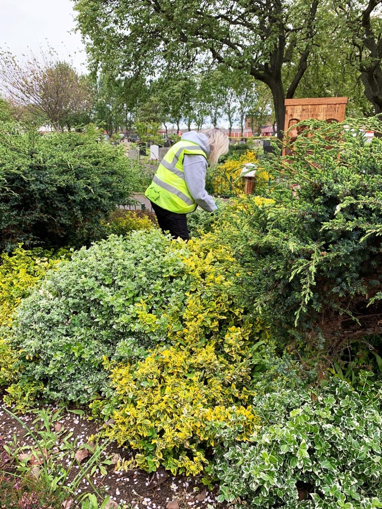 Green Tuesdays - 13th May