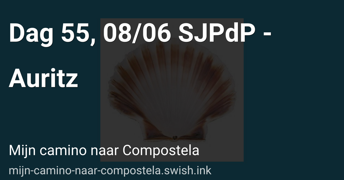 Dag 55, 08/06 SJPdP - Auritz