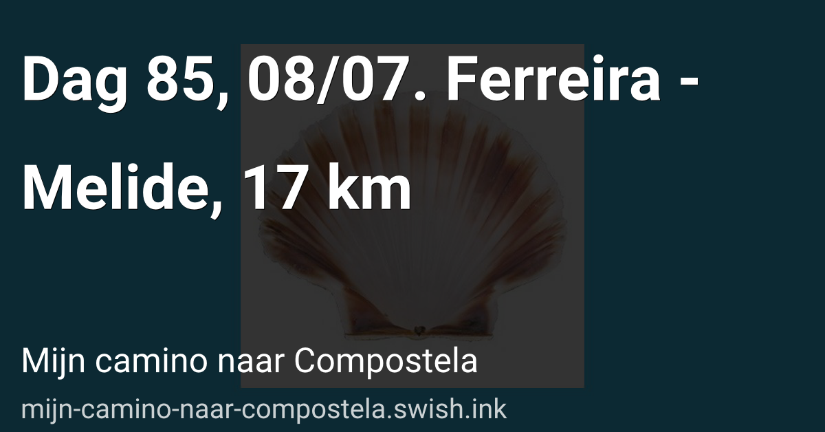 Dag 85, 08/07. Ferreira - Melide, 17 km